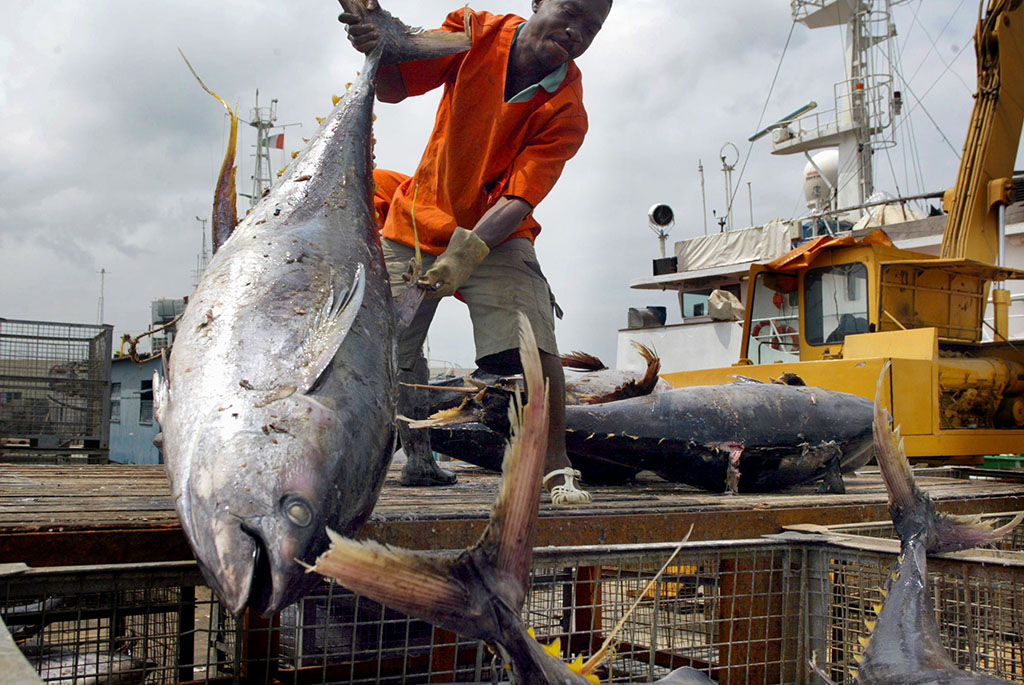 Image de la pêche en Côte d'Ivoire